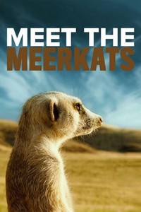 Meet the Meerkats (2022) - poster