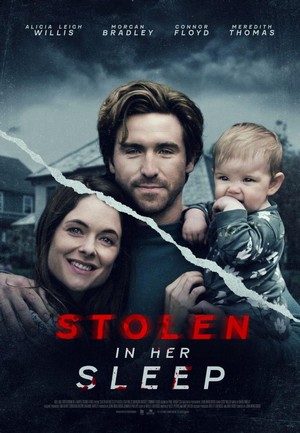 Stolen in Her Sleep (2022) - poster