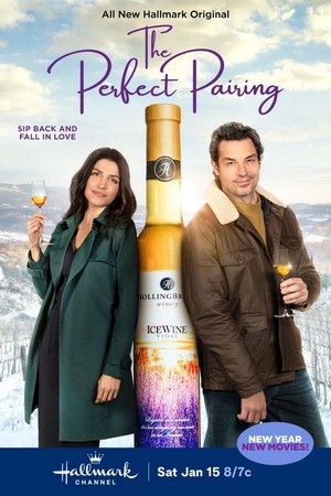 The Perfect Pairing (2022) - poster