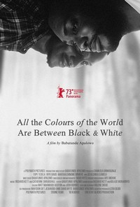 All the Colours of the World Are between Black and White (2023) - poster