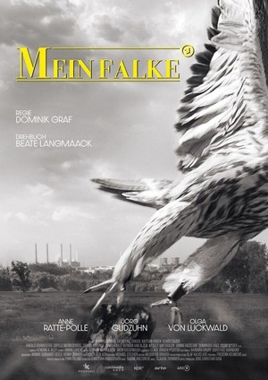 Mein Falke (2023) - poster