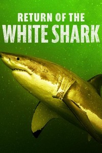 Return of the White Shark (2023) - poster