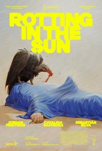 Rotting in the Sun (2023) - poster