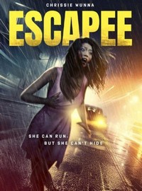 The Escapee (2023) - poster