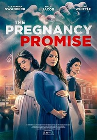 The Pregnancy Promise (2023) - poster