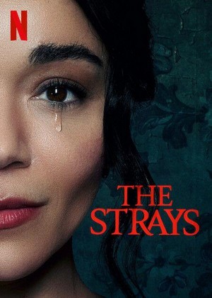 The Strays (2023) - poster