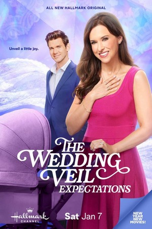 The Wedding Veil Expectations (2023) - poster