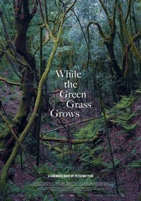 While the Green Grass Grows (2023) - poster