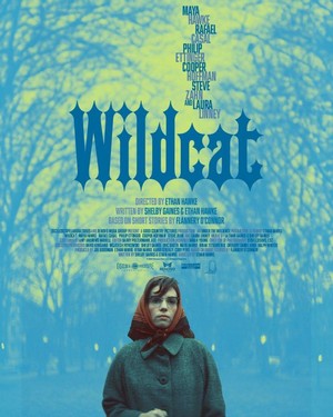 Wildcat (2023) - poster