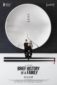 Brief History of a Family (2024) - poster