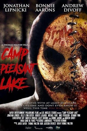 Camp Pleasant Lake (2024) - poster