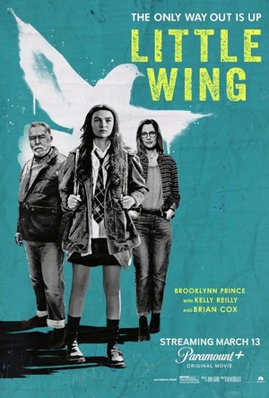 Little Wing (2024) - poster