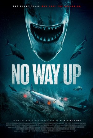 No Way Up (2024) - poster