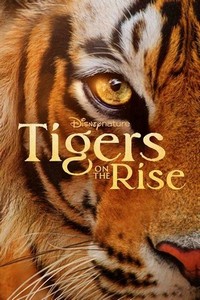 Tigers on the Rise (2024) - poster