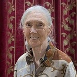 Jane Goodall