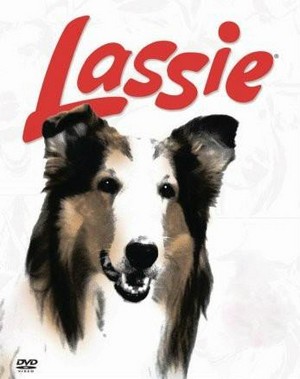 Lassie (1954 - 1973) - poster