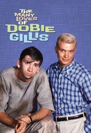 The Many Loves of Dobie Gillis (1959 - 1963) - poster