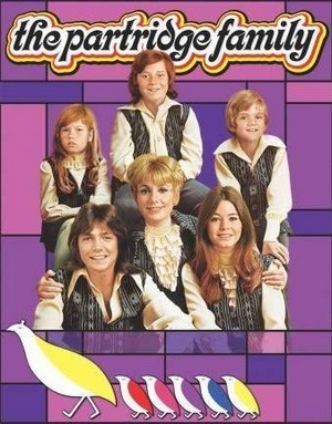 The Partridge Family (1970 - 1974) - poster