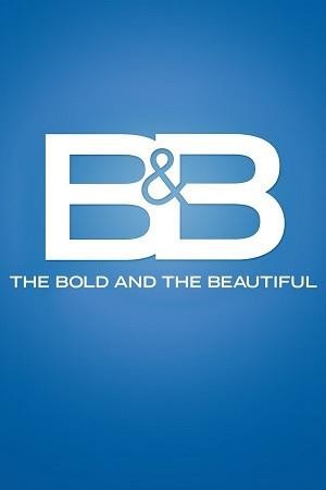 The Bold and the Beautiful (1987 - 2022) - poster