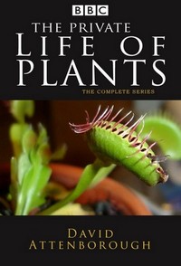 The Private Life of Plants (1995 - 1995) - poster