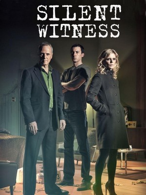 Silent Witness (1996 - 2024) - poster