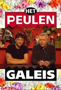 Het Peulengaleis (1999 - 1999) - poster