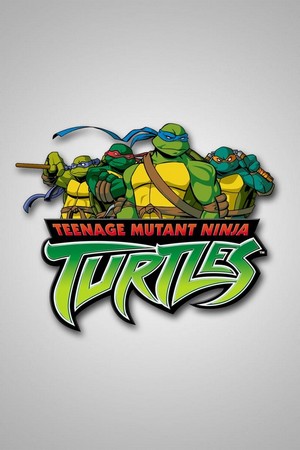 Teenage Mutant Ninja Turtles (2003 - 2009) - poster