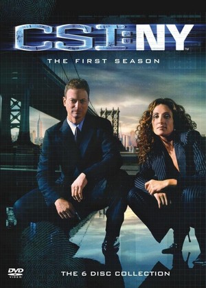 CSI: NY (2004 - 2013) - poster