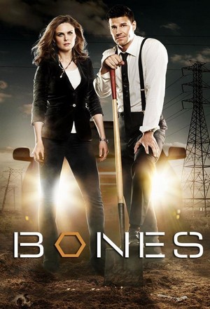 Bones (2005 - 2017) - poster