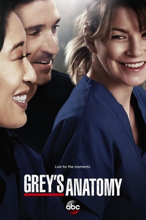 Grey's Anatomy (2005 - 2025) - poster