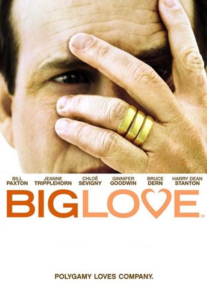 Big Love (2006 - 2011) - poster