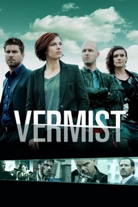 Vermist (2008 - 2016) - poster