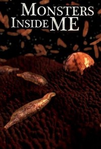 Monsters inside Me (2009 - 2017) - poster