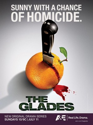 The Glades (2010 - 2013) - poster