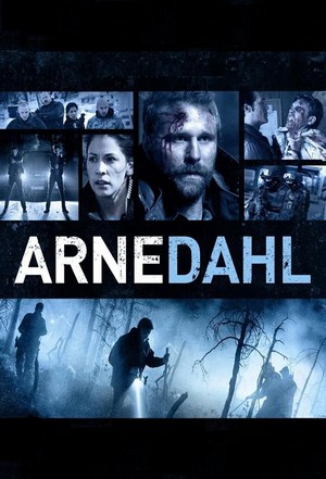 Arne Dahl (2011 - 2015) - poster
