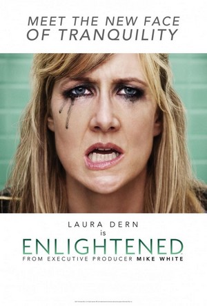 Enlightened (2011 - 2013) - poster