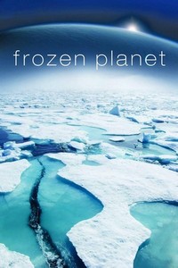 Frozen Planet - poster