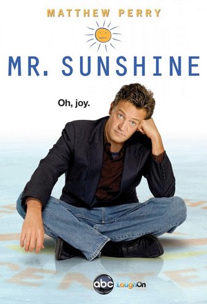 Mr. Sunshine (2011 - 2011) - poster