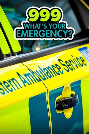 999: What's Your Emergency? (2012 - 2021) - poster