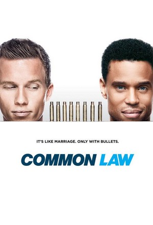 Common Law (2012 - 2012) - poster