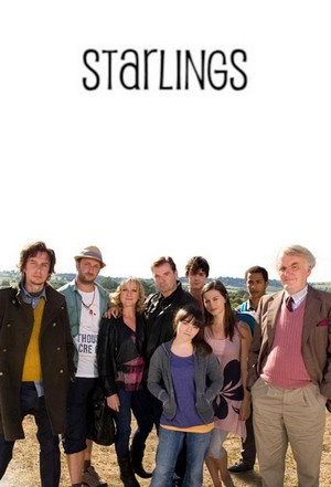 Starlings (2012 - 2013) - poster