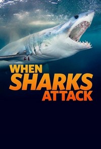 When Sharks Attack (2013 - 2022) - poster