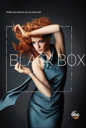 Black Box (2014 - 2014) - poster