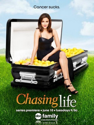 Chasing Life (2014 - 2015) - poster