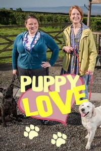 Puppy Love (2014 - 2014) - poster