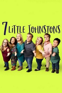 7 Little Johnstons (2015 - 2021) - poster