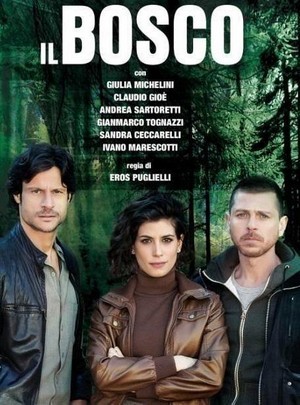 Il Bosco - poster