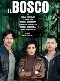 Il Bosco - poster