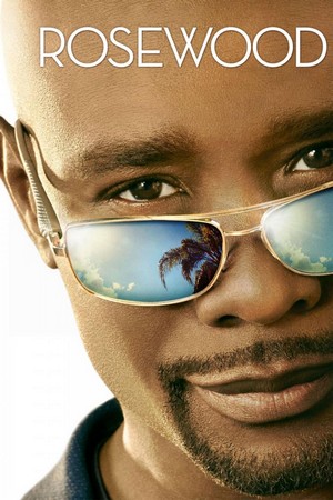 Rosewood (2015 - 2017) - poster