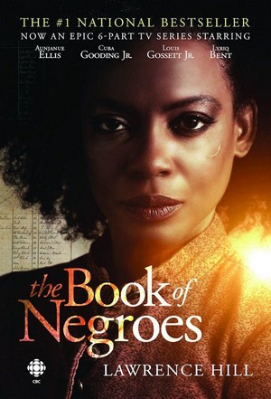 The Book of Negroes - poster